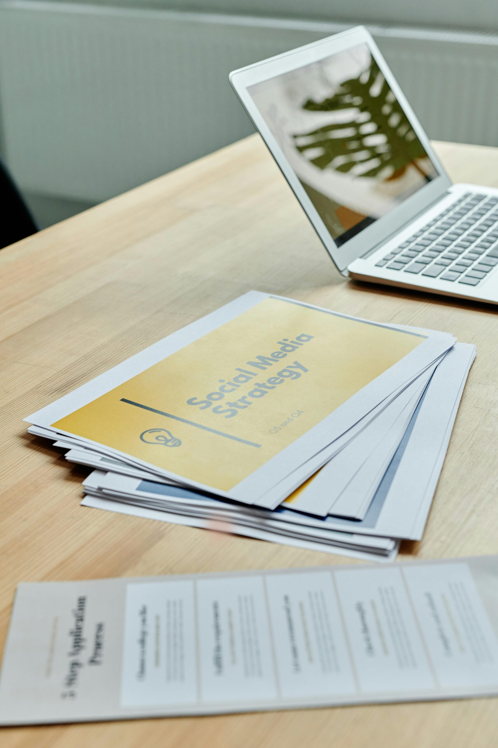 vista-bloom-digital-marketing-agency VistaBloom | Digital Marketing Agency